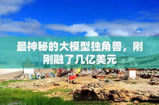 最神秘的大模型独角兽，刚刚融了几亿美元