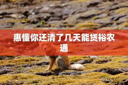 惠懂你还清了几天能贷裕农通