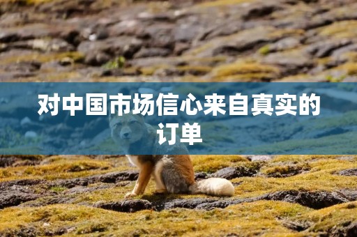 对中国市场信心来自真实的订单