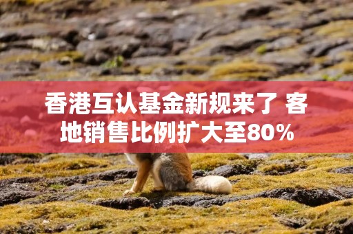 香港互认基金新规来了 客地销售比例扩大至80%