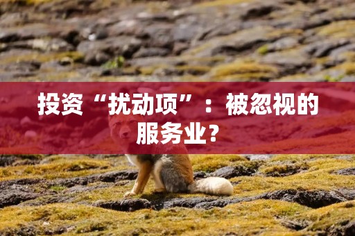 投资“扰动项”：被忽视的服务业？