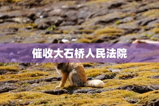 催收大石桥人民法院