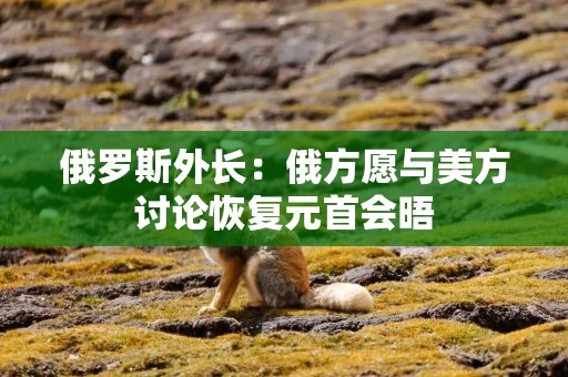 俄罗斯外长：俄方愿与美方讨论恢复元首会晤