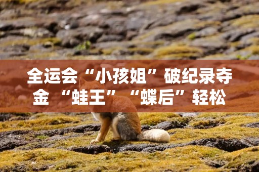 全运会“小孩姐”破纪录夺金 “蛙王”“蝶后”轻松加冕