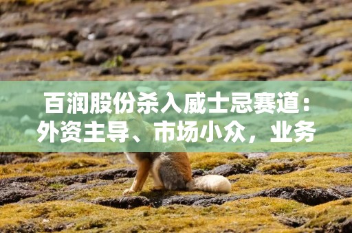 百润股份杀入威士忌赛道：外资主导、市场小众，业务前景待考
