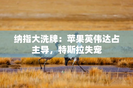 纳指大洗牌：苹果英伟达占主导，特斯拉失宠