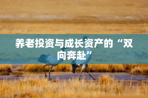养老投资与成长资产的“双向奔赴”