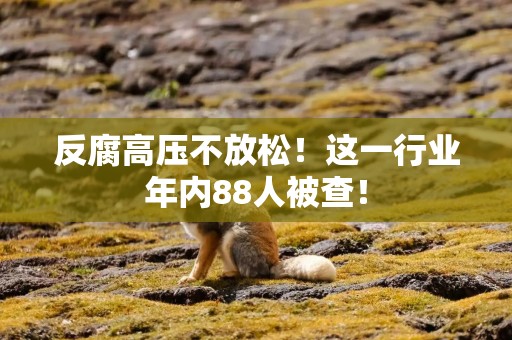 反腐高压不放松！这一行业年内88人被查！