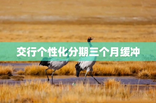 交行个性化分期三个月缓冲