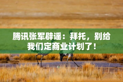腾讯张军辟谣：拜托，别给我们定商业计划了！