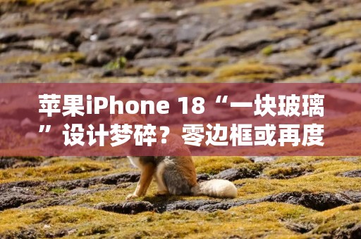 苹果iPhone 18“一块玻璃”设计梦碎？零边框或再度推迟