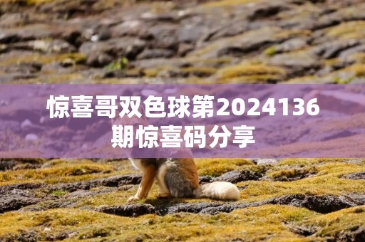 惊喜哥双色球第2024136期惊喜码分享