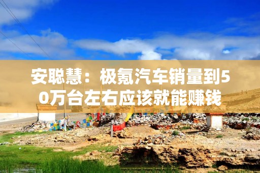 安聪慧：极氪汽车销量到50万台左右应该就能赚钱