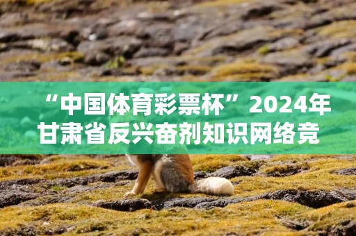 “中国体育彩票杯”2024年甘肃省反兴奋剂知识网络竞赛成功举办