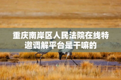 重庆南岸区人民法院在线特邀调解平台是干嘛的