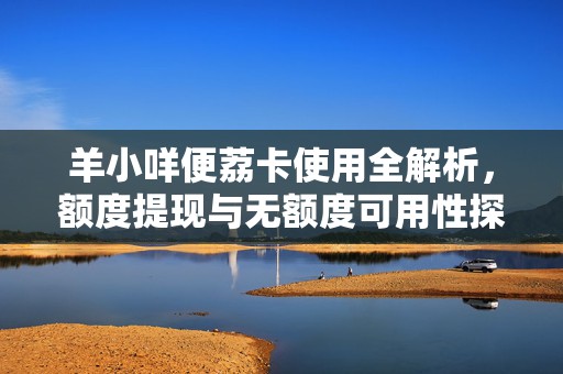 羊小咩便荔卡使用全解析，额度提现与无额度可用性探究