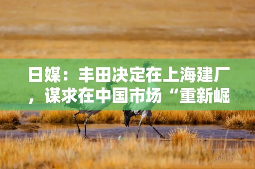 日媒：丰田决定在上海建厂，谋求在中国市场“重新崛起”