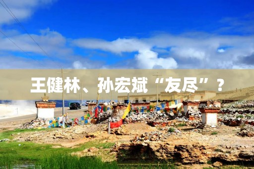 王健林、孙宏斌“友尽”？