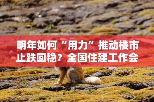 明年如何“用力”推动楼市止跌回稳？全国住建工作会议部署了这些重点