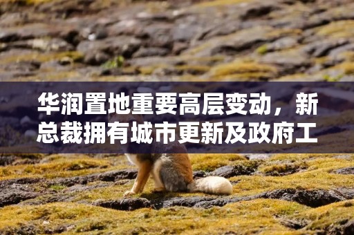 华润置地重要高层变动，新总裁拥有城市更新及政府工作背景