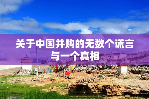 关于中国并购的无数个谎言与一个真相