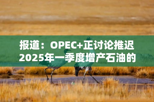 报道：OPEC+正讨论推迟2025年一季度增产石油的原定计划