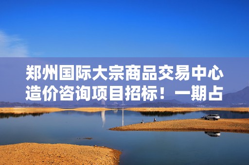 郑州国际大宗商品交易中心造价咨询项目招标！一期占地1516亩