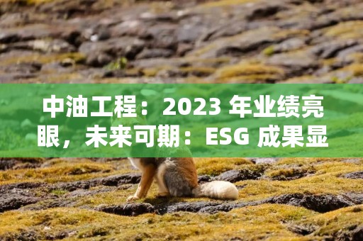 中油工程：2023 年业绩亮眼，未来可期：ESG 成果显著