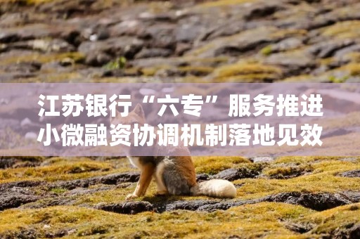 江苏银行“六专”服务推进小微融资协调机制落地见效