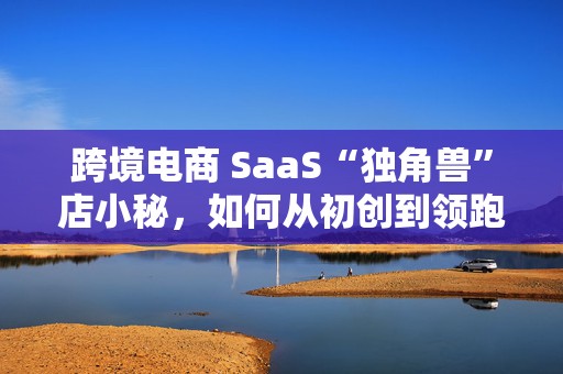 跨境电商 SaaS“独角兽”店小秘，如何从初创到领跑者