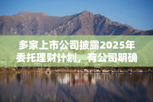 多家上市公司披露2025年委托理财计划，有公司明确不超过220亿元资金仅投向结构性存款