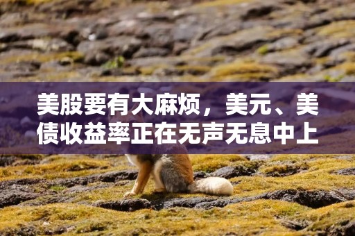 美股要有大麻烦，美元、美债收益率正在无声无息中上涨