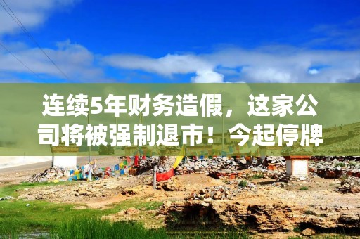 连续5年财务造假，这家公司将被强制退市！今起停牌