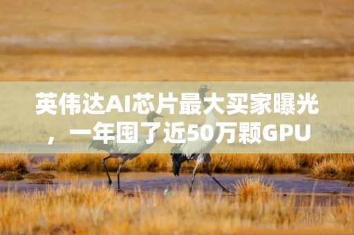 英伟达AI芯片最大买家曝光，一年囤了近50万颗GPU