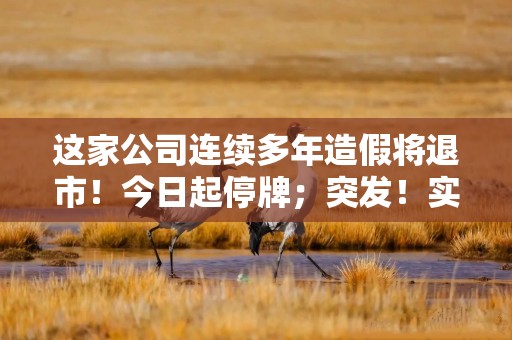这家公司连续多年造假将退市！今日起停牌；突发！实控人被监视居住；救市！这国紧急出手；没想到！蜜雪冰城也要进军动漫电影圈了