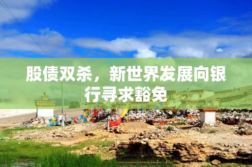 股债双杀，新世界发展向银行寻求豁免
