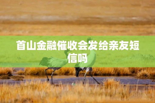 首山金融催收会发给亲友短信吗