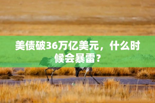 美债破36万亿美元，什么时候会暴雷？