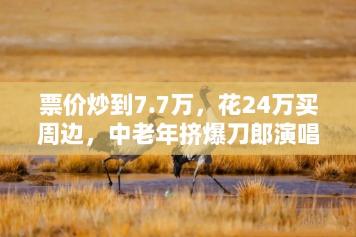 票价炒到7.7万，花24万买周边，中老年挤爆刀郎演唱会