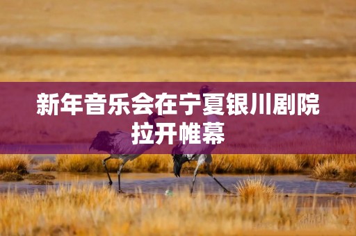 新年音乐会在宁夏银川剧院拉开帷幕