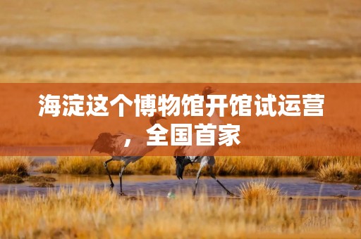 海淀这个博物馆开馆试运营，全国首家