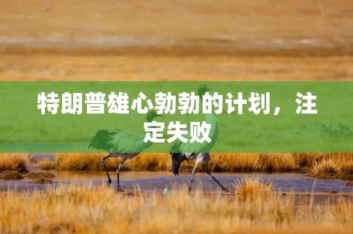 特朗普雄心勃勃的计划，注定失败