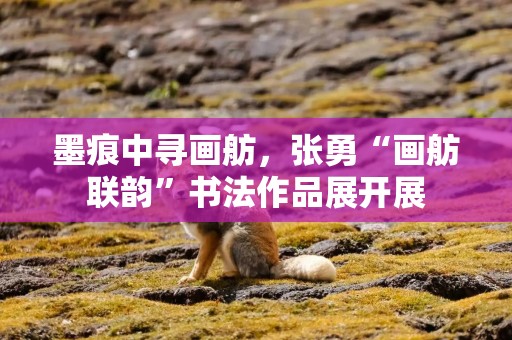 墨痕中寻画舫，张勇“画舫联韵”书法作品展开展