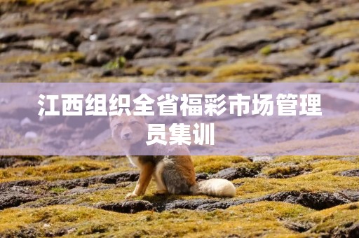 江西组织全省福彩市场管理员集训