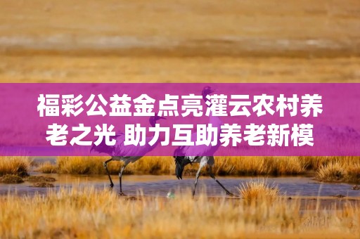 福彩公益金点亮灌云农村养老之光 助力互助养老新模式发展
