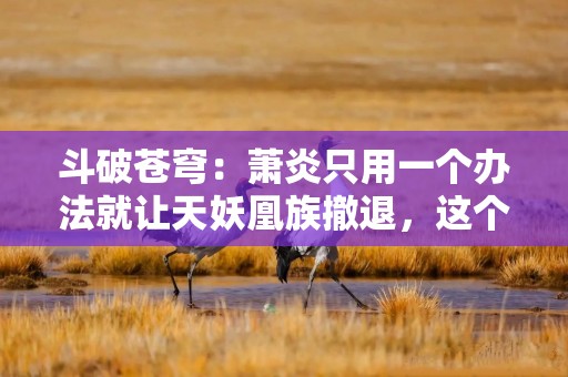 斗破苍穹：萧炎只用一个办法就让天妖凰族撤退，这个办法是什么？