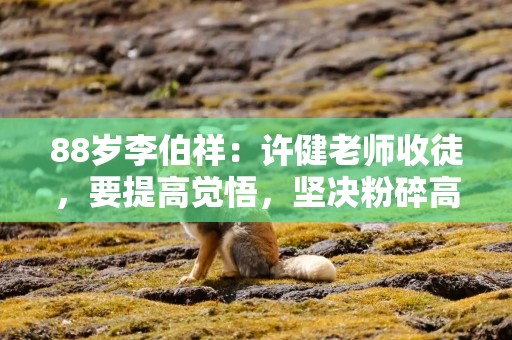 88岁李伯祥：许健老师收徒，要提高觉悟，坚决粉碎高市早苗的阴谋