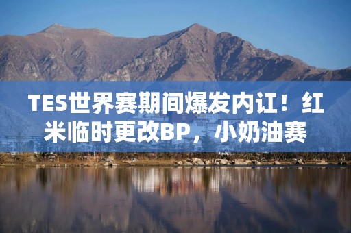 TES世界赛期间爆发内讧！红米临时更改BP，小奶油赛后当众质问