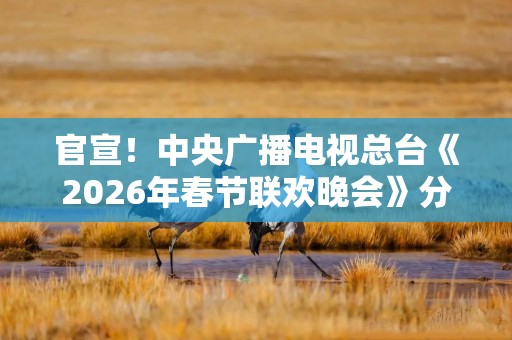 官宣！中央广播电视总台《2026年春节联欢晚会》分会场发布