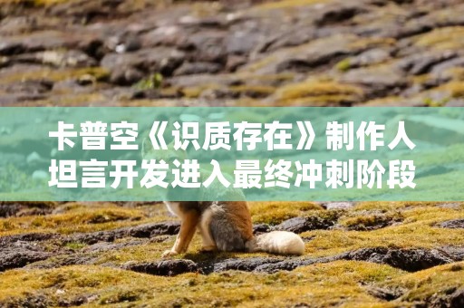 卡普空《识质存在》制作人坦言开发进入最终冲刺阶段